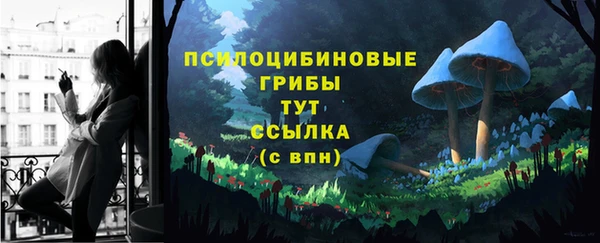 ECSTASY Карпинск