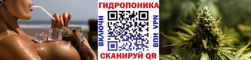 блэк спрут онион  Пошехонье  Каннабис ГИДРОПОН 